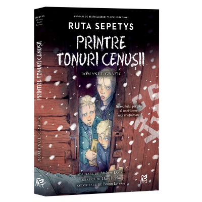 Printre tonuri cenusii. Romanul grafic 