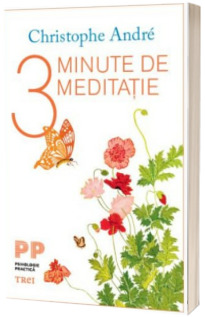 3 Minute de meditatie