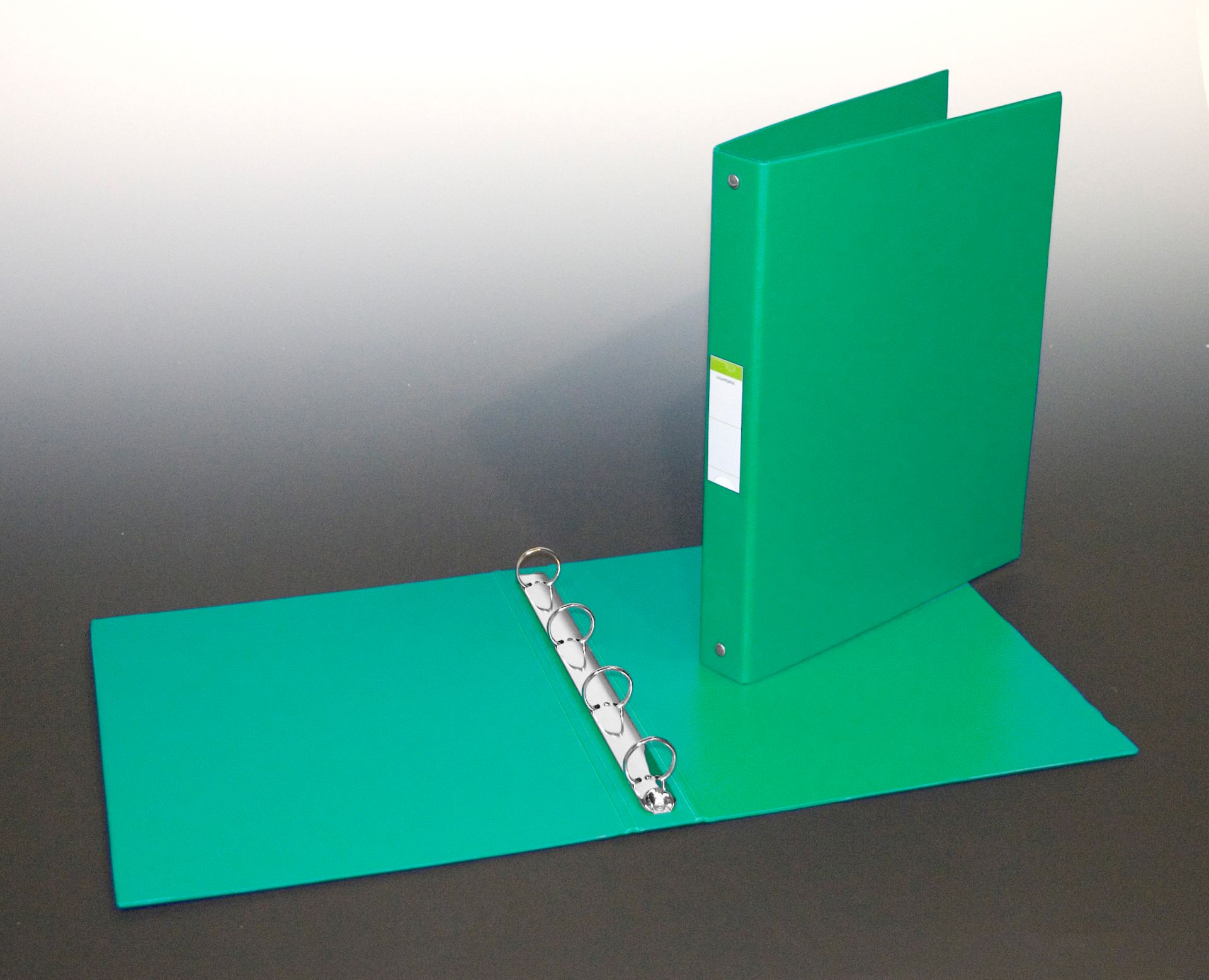 Caiet mecanic 4 inele - D25mm, coperti carton plastifiat PVC, A4, Aurora - verde