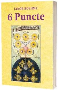 6 Puncte