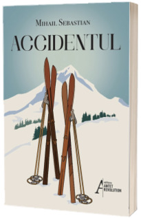 Accidentul