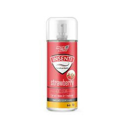 Air Freshener INSENTI Exclusive Spray - strawberry, 50ml