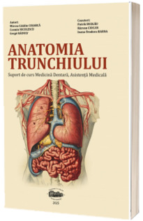 Anatomia trunchiului