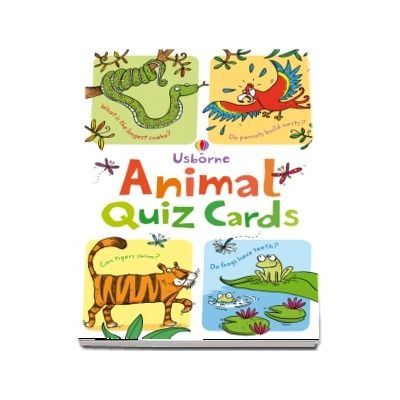 Animal quiz cards