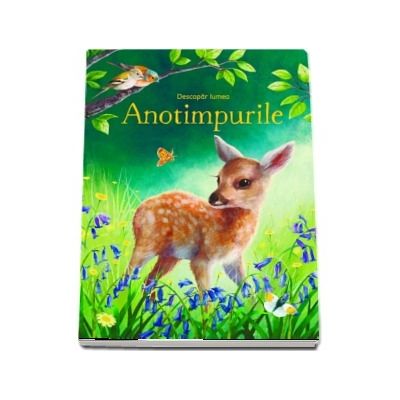 Anotimpurile (Usborne)