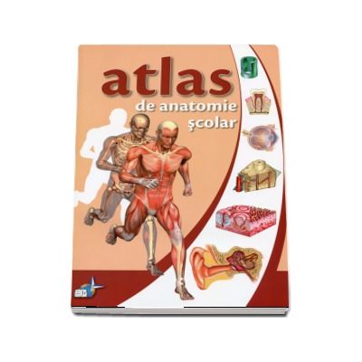 Atlas de anatomie, scolar. Anatomia omului