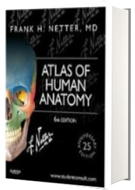 Atlas of Human Anatomy, including studentconsult interactive ancillaries and guides - Frank H. Netter, MD (6th Edition)