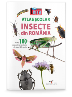 Atlas scolar - insecte din Romania