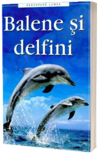 Balene si delfini