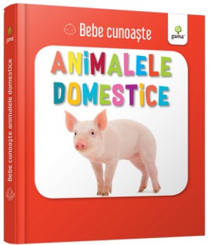 Bebe cunoaste animale domestice