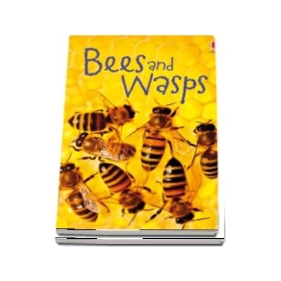 Bees and wasps