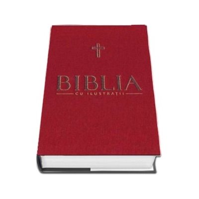 Biblia cu ilustratii - Noul Testament, Evangheliile, Faptele Apostolilor, Romani, I si II Corinteni (Volumul VII)