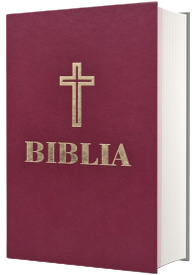 Biblia. Format 053, grena