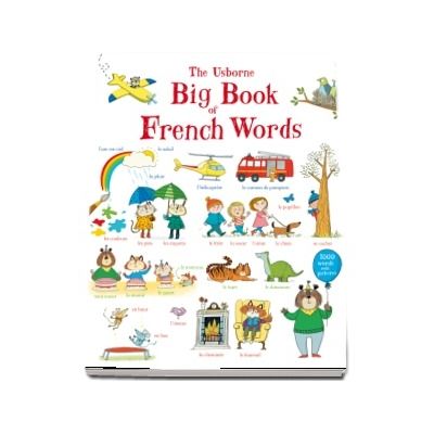 Big book of French words