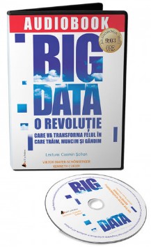 Big Data. Audiobook