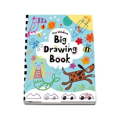 Big drawing book