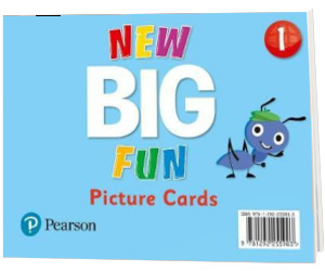 Big Fun Refresh Level 1. Picture Cards
