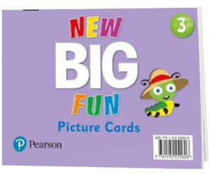 Big Fun Refresh Level 3. Picture Cards