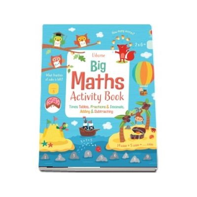 Big maths activity book