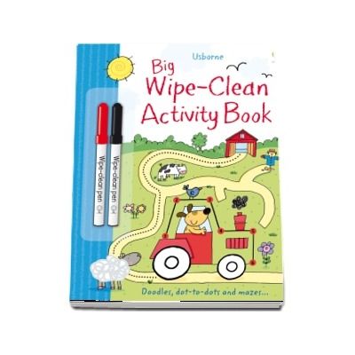 Big wipe-clean activity book