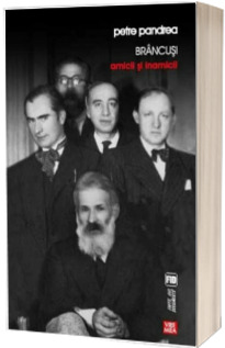 Brancusi. Amicii si inamicii