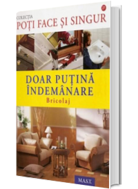 Bricolaj. Doar putina indemanare (Colectia poti face si singur)