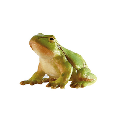 Broasca de copac