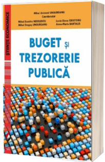 Buget si trezorerie publica