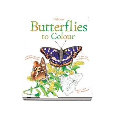 Butterflies to colour