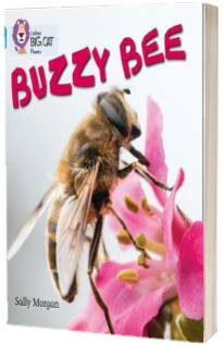 Buzzy Bees: Band 04, Blue