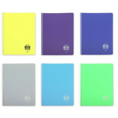 Caiet A5 velin cu 96 file coperta plastic si spira