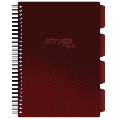 Caiet cu spirala si separatoare, STRIGO PADS Project Book Basic B5, Matematica