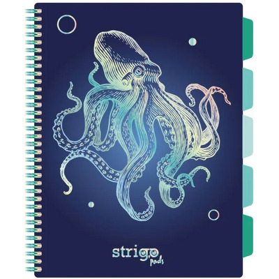 Caiet cu spirala si separatoare, STRIGO PADS Project Book CARACATITA, B5, Matematica