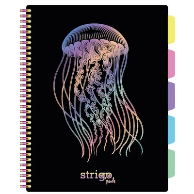 Caiet cu spirala si separatoare, STRIGO PADS Project Book MEDUZA, B5, Matematica