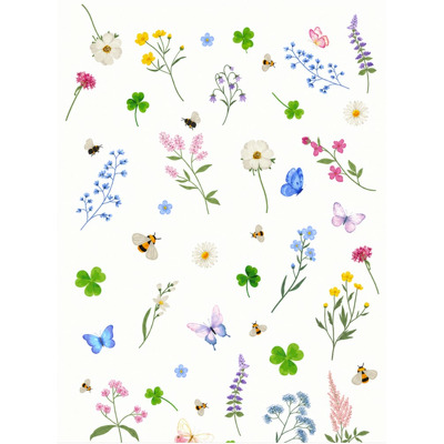 Caiet scolar STRIGO NATURE, A5, matematica, 48 file, hartie 70g FSC, coperta glossy laminate