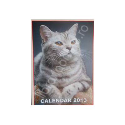 Calendar triptic 2013 de perete (Imagini cu pisici)