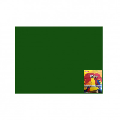 Carton color CN240VI verde inchis 50X65 10COLI, Daco 240G/MP