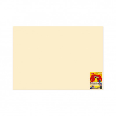 Carton color CN271C 270G/MP 70X100 10 coli