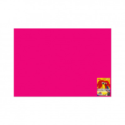 Carton color CN271F 270G/MP 70X100 10 coli
