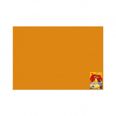 Carton color CN271P 270G/MP 70X100 10 coli