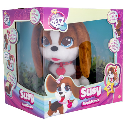 Catelus interactiv SUSY