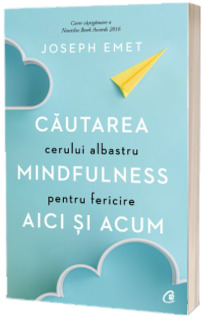 Cautarea cerului albastru: Mindfulness pentru fericire aici si acum