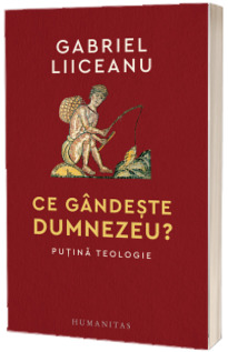 Ce gandeste Dumnezeu? Putina teologie