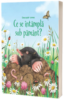 Ce se intampla sub pamant? (Usborne)