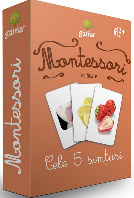 Cele 5 simturi - Montessori clasificare