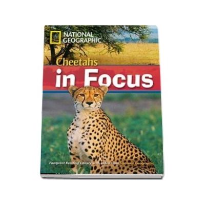 Cheetahs in Focus. Footprint Reading Library 2200. Book