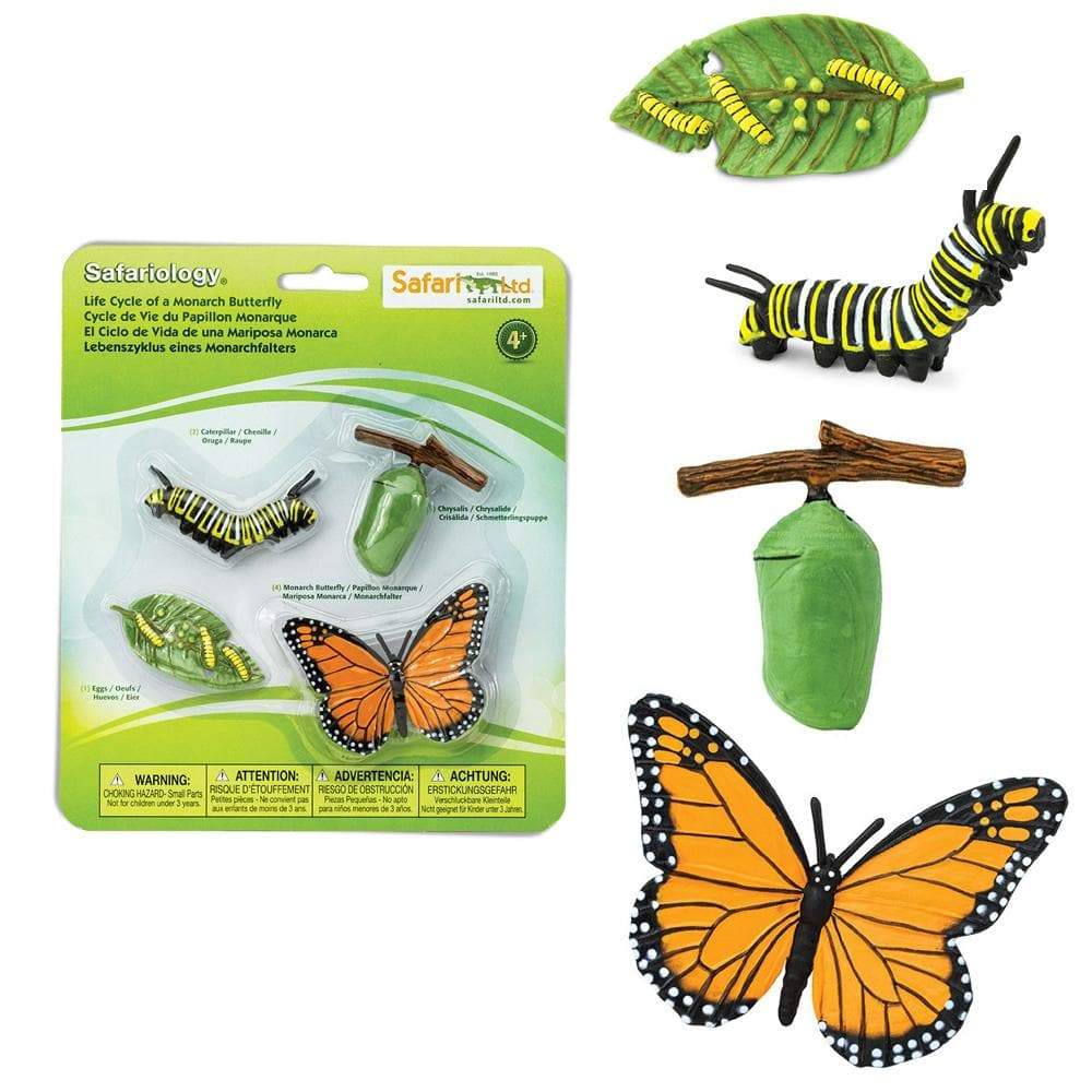 Ciclul vietii la fluturele monarh set 4 figurine educative