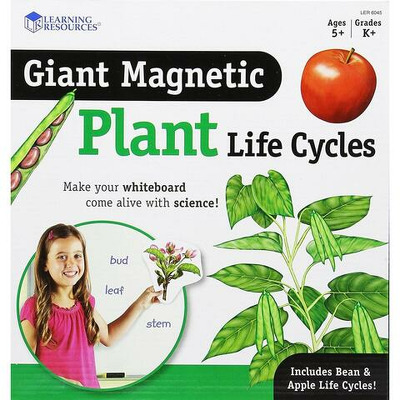 Ciclul vietii plantei, set magnetic