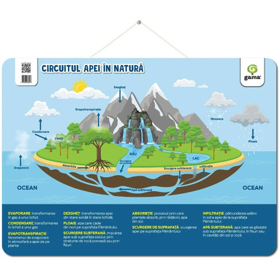 Circuitul apei in natura