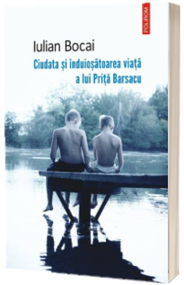 Ciudata si induiosatoarea viata a lui Prita Barsacu - Iulian Bocai